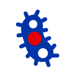 Prechladnutie je bežné vírusové ochorenie horných dýchacích ciest, ktoré často postihuje dutiny.